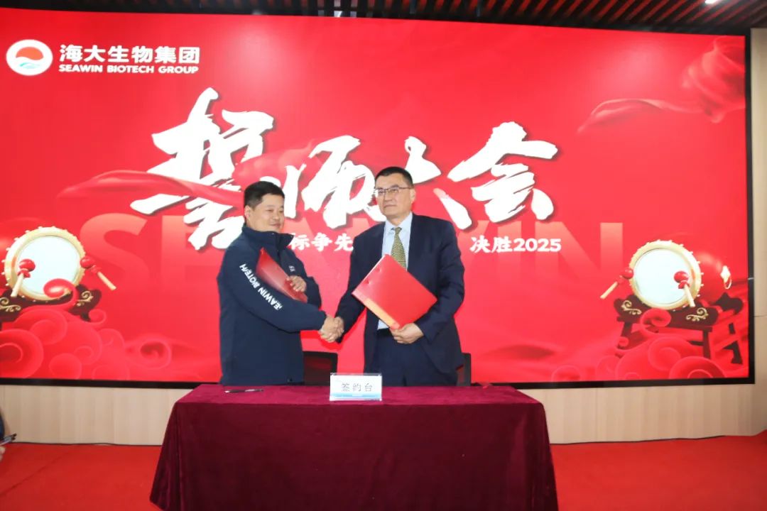开云在线手机入口集团举行2024年度总结表彰大会
