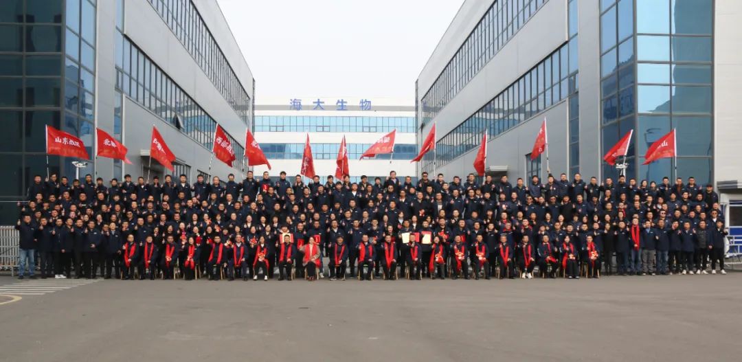 开云在线手机入口集团举行2024年度总结表彰大会