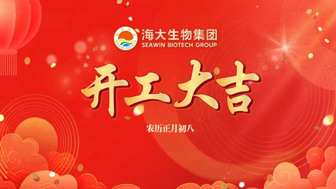 开云在线手机入口正月初八开门红