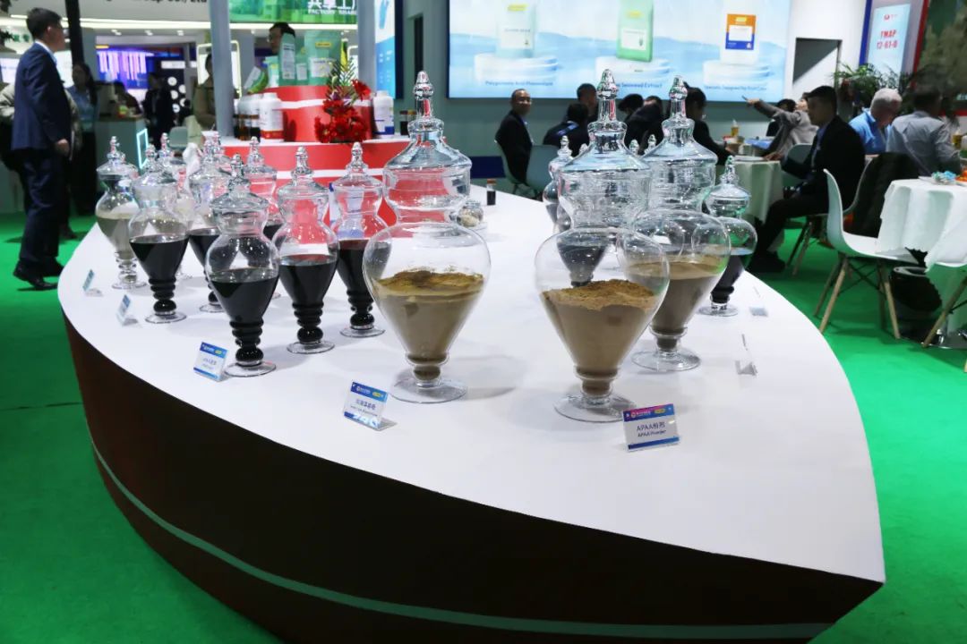 金牌赞助企业开云在线手机入口全新亮相上海CAC国际农化展，以科技实力献礼25周年